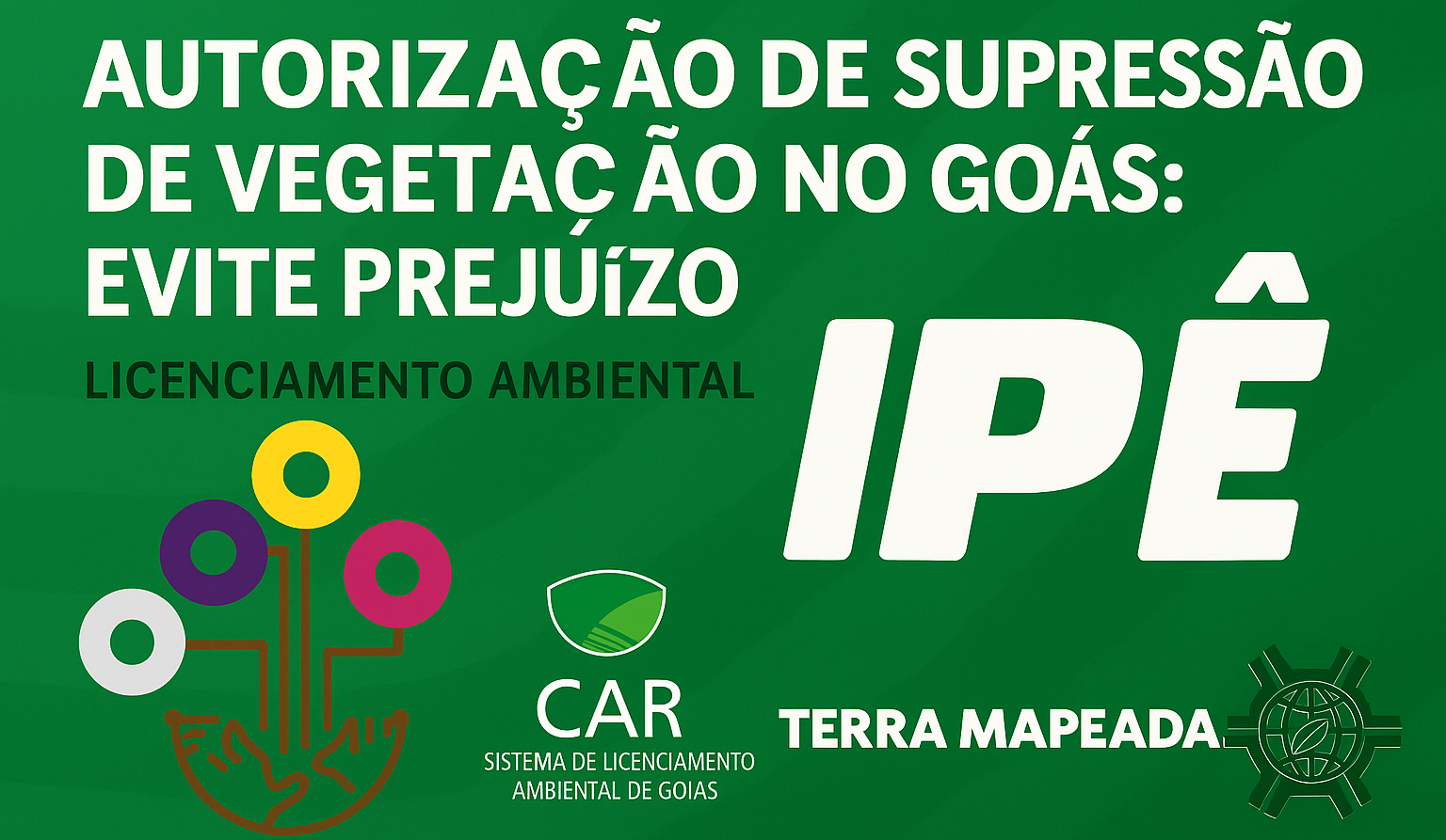 licença desmatamento goiás