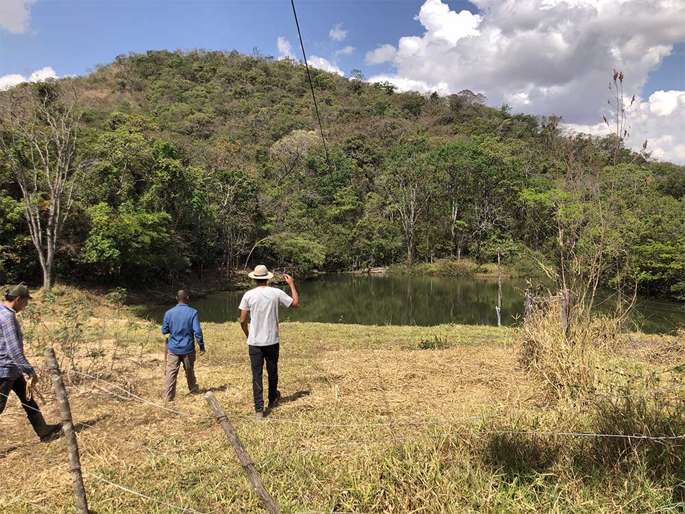 licenciamento ambiental goias
