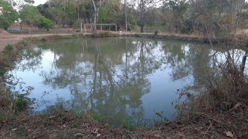 consultoria ambiental goiânia